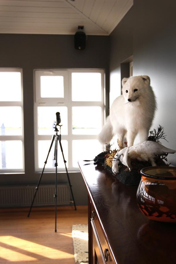Armot Guesthouse Hvolsvöllur Dış mekan fotoğraf